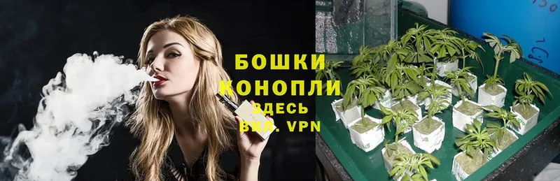 Канабис White Widow  дарк нет формула  Миасс 